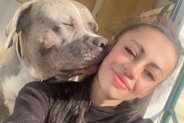 Videón, ahogy a rendőr lelövi az XL Bully kutyát a nyílt utcán Angliában - kiderült, hogy nem is bántott senkit