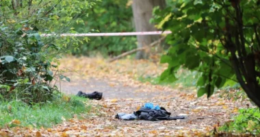 Véres éjszaka Dél-Londonban: órákon belül két késelés történt egymástól alig pár méterre – az egyik áldozat meghalt