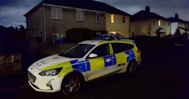 9 hónapos csecsemőt marcangolt halálra egy kutya Nagy-Britanniában - újabb végzetes kutyatámadás