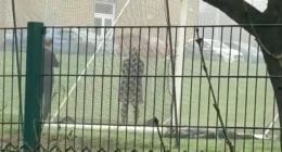 Tesiórára készülő diákok holttestet találtak egy iskola területén Angliában