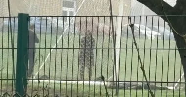 Tesiórára készülő diákok holttestet találtak egy iskola területén Angliában