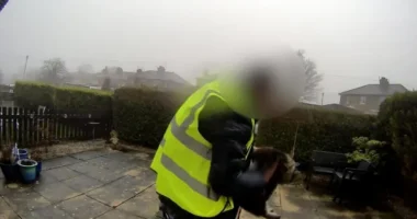 Az amazon futár hozott egy csomagot, majd "cserébe" ellopta a macskát egy angliai ház udvaráról