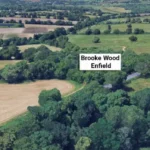 Emberi koponya lógott egy fáról Londonban