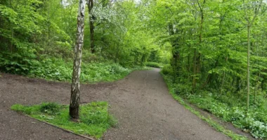 4 éves kisgyermeket raboltak el egy parkból az anyukája mellől Angliában