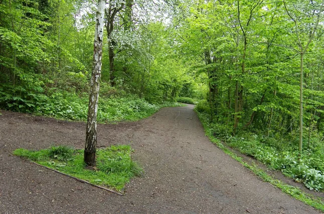 4 éves kisgyermeket raboltak el egy parkból az anyukája mellől Angliában 4 éves kisgyermeket raboltak el egy parkból az anyukája mellől Angliában