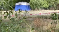 Egy anya talált emberi maradványokat egy bőröndben Angliában, egy férfit pedig fényes nappal késeltek halálra Londonban Egy anya talált emberi maradványokat egy bőröndben Angliában, egy férfit pedig fényes nappal késeltek halálra Londonban