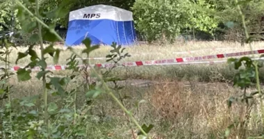 Egy anya talált emberi maradványokat egy bőröndben Angliában, egy férfit pedig fényes nappal késeltek halálra Londonban