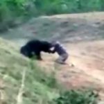 A helyszínen meghalt egy férfi, aki egy medvével próbált közös szelfit csinálni