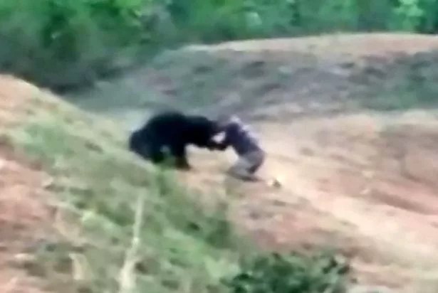 A helyszínen meghalt egy férfi, aki egy medvével próbált közös szelfit csinálni