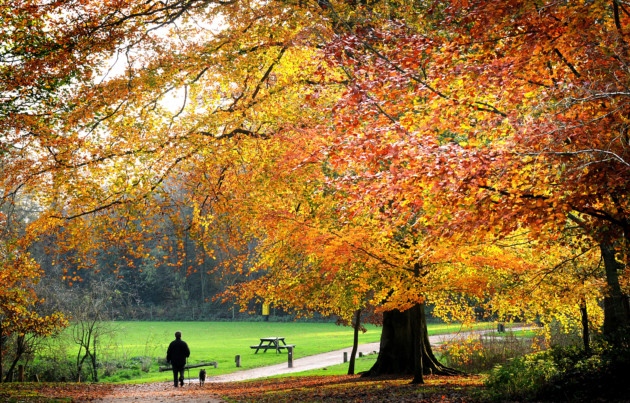 A leggyönyörűbb őszi kirándulóhelyek, parkok és erdős területek Nagy-Britanniában 3