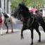 Csuromvéres ló vágtat a lovasa nélkül keresztül London belvárosán – legalább egy emberhez mentőt kellett hívni 4