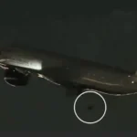 Felszállás közben leszakadt az egyik kerék egy londoni British Airways járatról
