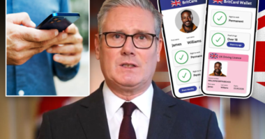 "Nagy-Britanniának el kell fogadnia a digitális személyi igazolványokat, sőt örülni kéne neki" - a brit miniszterelnök nyilatkozott