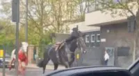 Kiderültek a részletek, több ló is súlyos állapotban azok után, hogy tegnap elszabadultak London belvárosában, hatalmas felfordulást okozva
