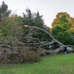 Már két halálos áldozata van a Boelo viharnak Nagy-Britanniában: a Met Office újabb figyelmeztetéseket adott ki