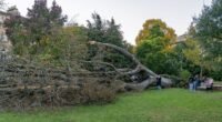 Már két halálos áldozata van a Boelo viharnak Nagy-Britanniában: a Met Office újabb figyelmeztetéseket adott ki