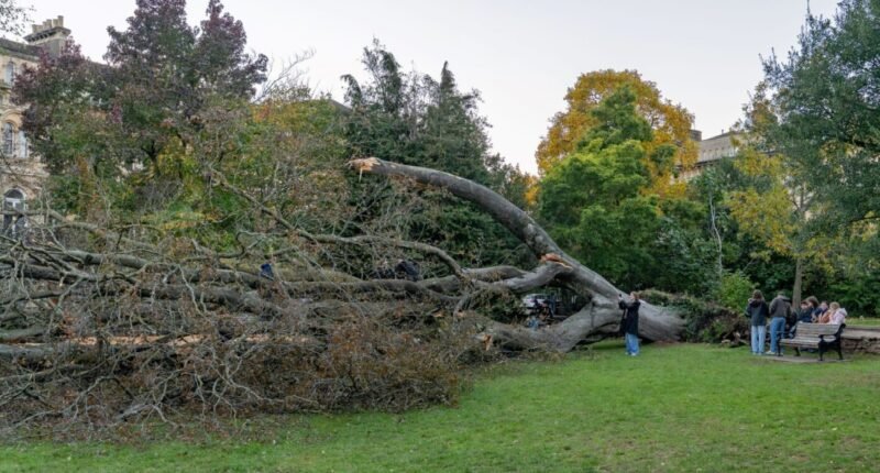 Már két halálos áldozata van a Boelo viharnak Nagy-Britanniában: a Met Office újabb figyelmeztetéseket adott ki