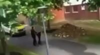 Nyílpuskával lőttek le egy férfit egy egyetemen Angliában – életveszélyes sérülésekkel került kórházba