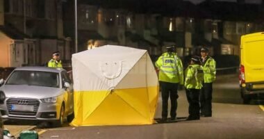 Újabb részletek derültek ki a támadásról, amelyben egy 2 és egy 8 éves kisgyermek és egy felnőtt nő is súlyosan megsérült Londonban