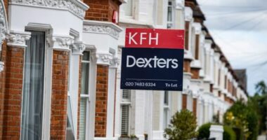 Egyre súlyosabb a helyzet, és az albérletben élők járnak a legrosszabbul Nagy-Britanniában