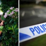 Lecsuktak egy magyar nőt Angliában, miután halálra gázolt egy idős bácsit az úton rossz irányban haladva