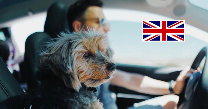 Akár £5,000-ra is megbüntethetnek Angliában, ha a kutyádat viszed autóval, és erre a fontos dologra nem figyelsz oda 3