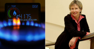 Lemondott az energiaszámlák emeléséért felelős szervezet igazgatója az újabb árplafon emelés miatt, ami komoly kérdéseket vet fel