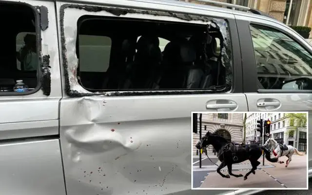 Kiderültek a részletek, több ló is súlyos állapotban azok után, hogy tegnap elszabadultak London belvárosában, hatalmas felfordulást okozva