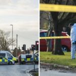 5 fiatal halt meg, amikor lopott kocsival fának hajtottak Angliában