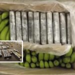Óriási kokain szállítmányt fogtak el Angliában, banánok közé rejtve