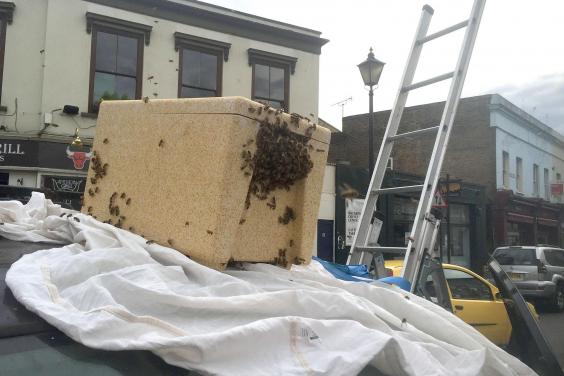 Hatalmas méhraj lepte el az egyik utcát, nagy riadalmat okozva Dél-Londonban 4