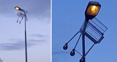 Sok mindent láttunk már Angliában, de most valakinek sikerült rátennie még egy lapáttal – bevásárlókocsit „varázsoltak fel” egy lámpaoszlop tetejére