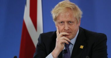 „Nagy-Britanniának vissza kell csatlakoznia az EU egységes piacához” – a brit kormány egyik szenior képviselőjének őszinte nyilatkozata