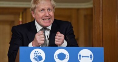 Kiderült, hogy hiba volt a grafikonokban, amik alapján többek közt elrendelték a lockdownt Angliában