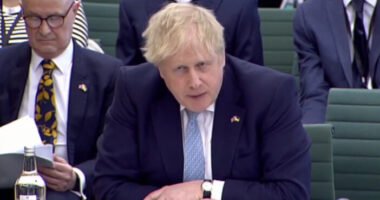 Boris Johnson legfrissebb nyilatkozata: „Nagy-Britannia készen áll új szintre emelni Ukrajna támogatását”