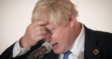 koronavírus Boris johnson