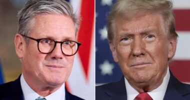 "Nagy-Britanniának vissza kell fordítania a Brexitet, és megerősíteni a kapcsolatot az EU-val, ha Trump nyeri az amerikai választásokat"