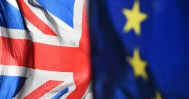 Öt évvel a kilépés után újra megkérdezték a Nagy-Britanniában élőket a Brexitről - megdöbbentő és elszomorító a helyzet