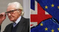 "A Brexit egy nagy rakás hazugság volt, Nagy-Britanniának vissza kell lépnie az EU-ba" - a volt miniszterelnök-helyettes