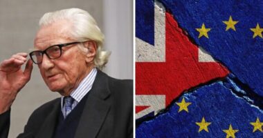 "A Brexit egy nagy rakás hazugság volt, Nagy-Britanniának vissza kell lépnie az EU-ba" - a volt miniszterelnök-helyettes