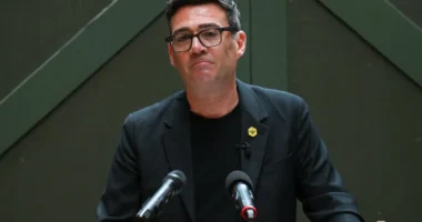 Új korszak a brit politikában: mikor, és hogyan jön az új miniszterelnök és lesznek-e előrehozott parlamenti választások