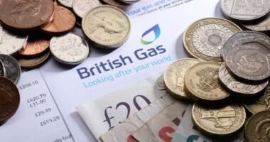 Rengetegen kaphatnak akár £2,000 támogatást is a British Gas jóvoltából Nagy-Britanniában