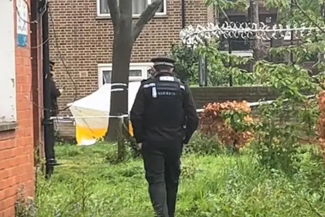 „Vérfagyasztó sikolyokat hallottam” - újabb végzetes késelés Londonban 4