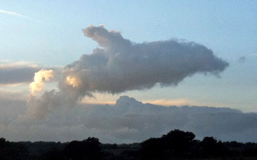 cloud-dolphin_2635159k