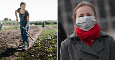 Tisztességes fizetés és a munkavállalók védelme az Egyesült Királyságban