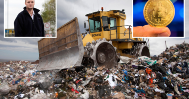 400 millió GBP-ot érő tárgy rejtőzik egy halom szemét alatt Nagy-Britanniában, de még nem találta meg senki