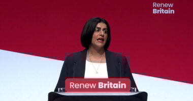 "Nagy-Britannia elvesztette a kontrollt a saját határai felett" - a brit belügyminiszter kemény szavai