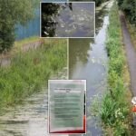 Rendkívül mérgező vegyület, nátrium-cianid ömlött az egyik csatornába Angliában – figyelmeztetést adtak ki az egész környéken élő közösségnek