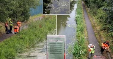 Rendkívül mérgező vegyület, nátrium-cianid ömlött az egyik csatornába Angliában - figyelmeztetést adtak ki az egész környéken élő közösségnek