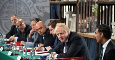 Boris 90 000 ember munkahelyének megszüntetését tervezi, hogy pénzt takarítson meg az adócsökkentésre